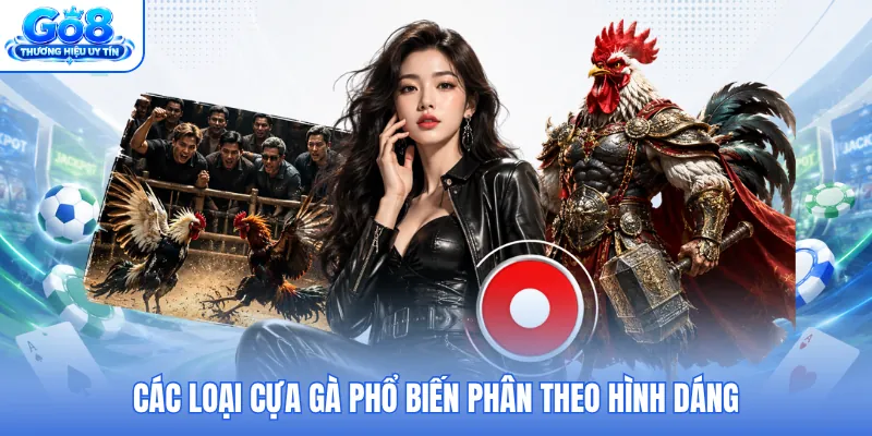 Các loại cựa gà phổ biến phân theo hình dáng Các loại cựa gà phổ biến phân theo hình dáng