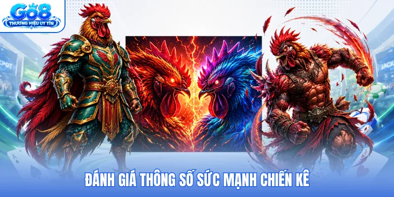 Đánh giá thông số sức mạnh chiến kê Đánh giá thông số sức mạnh chiến kê