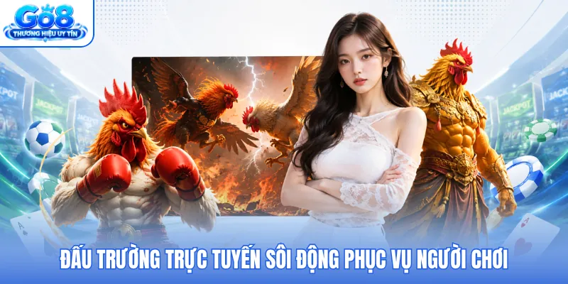 Đấu trường trực tuyến sôi động phục vụ người chơi