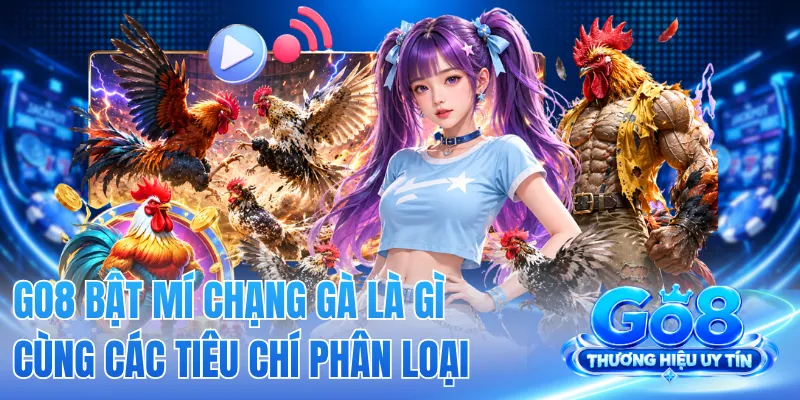 GO8 Bật Mí Chạng Gà Là Gì Cùng Các Tiêu Chí Phân Loại 2 GO8 Bật Mí Chạng Gà Là Gì Cùng Các Tiêu Chí Phân Loại