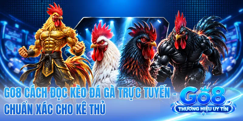 GO8 Cách Đọc Kèo Đá Gà Trực Tuyến - Chuẩn Xác Cho Kê Thủ 2 GO8 Cách Đọc Kèo Đá Gà Trực Tuyến - Chuẩn Xác Cho Kê Thủ