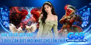 GO8 Đá Gà Cựa Dao - 3 Điều Cần Biết Mới Nhất Cho Tân Thủ