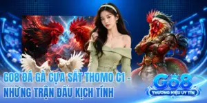 GO8 Đá Gà Cựa Sắt Thomo C1 - Những Trận Đấu Kịch Tính