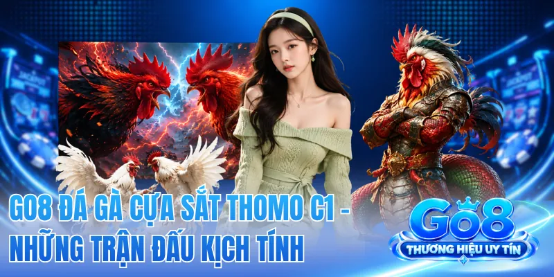 GO8 Đá Gà Cựa Sắt Thomo C1 - Những Trận Đấu Kịch Tính 2 GO8 Đá Gà Cựa Sắt Thomo C1 - Những Trận Đấu Kịch Tính