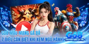 GO8 Màu Mạng Gà Đá - 7 Điều Cần Biết Khi Xem Ngũ Hành
