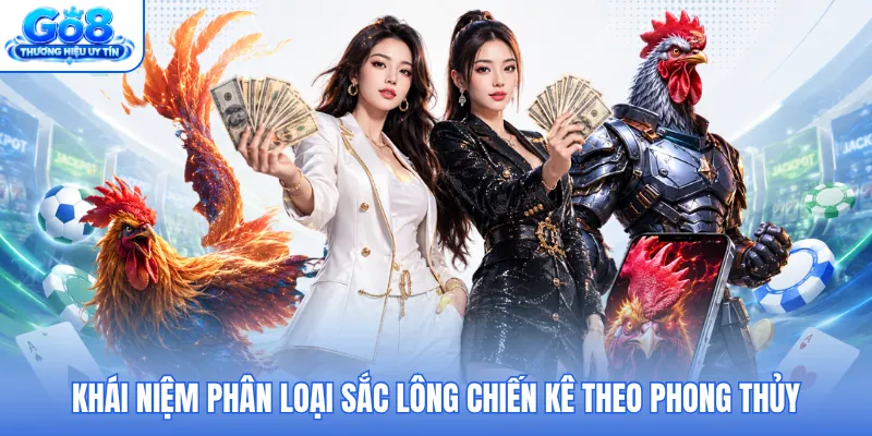 Khái niệm phân loại sắc lông chiến kê theo phong thủy Khái niệm phân loại sắc lông chiến kê theo phong thủy